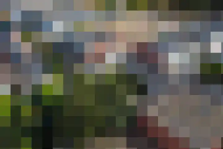 Wilhelminastraat 22 D Rijssen thumbnail 48