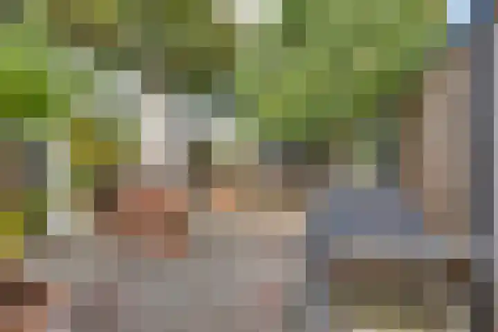 Wilhelminastraat 22 D Rijssen thumbnail 58