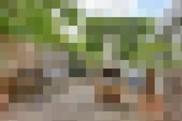 Wilhelminastraat 22 D Rijssen thumbnail 60