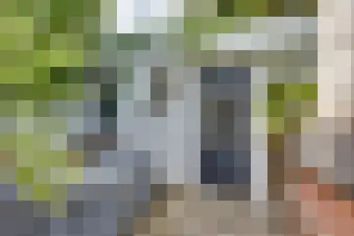 Wilhelminastraat 22 D Rijssen thumbnail 61