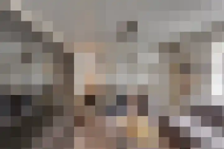 Wilhelminastraat 22 D Rijssen thumbnail 63