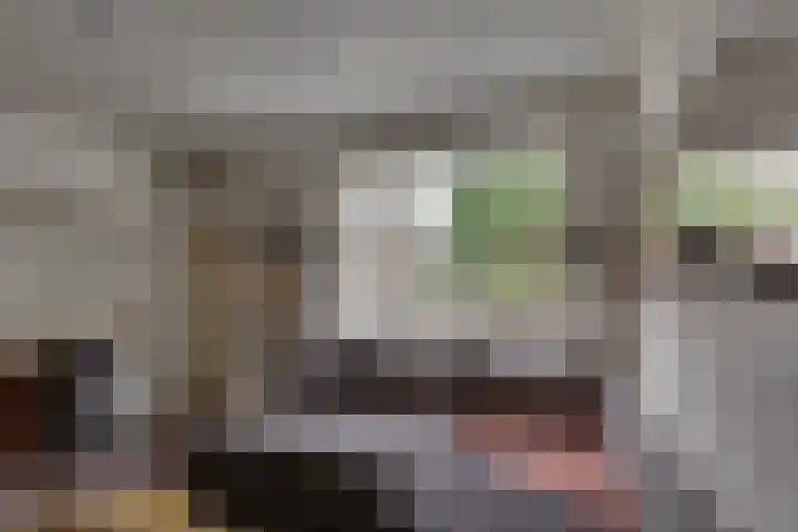 Wilhelminastraat 22 D Rijssen thumbnail 64