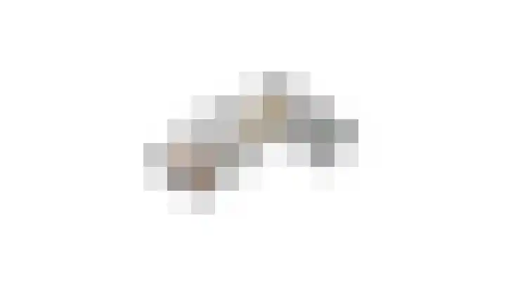 Wilhelminastraat 22 D Rijssen thumbnail 98