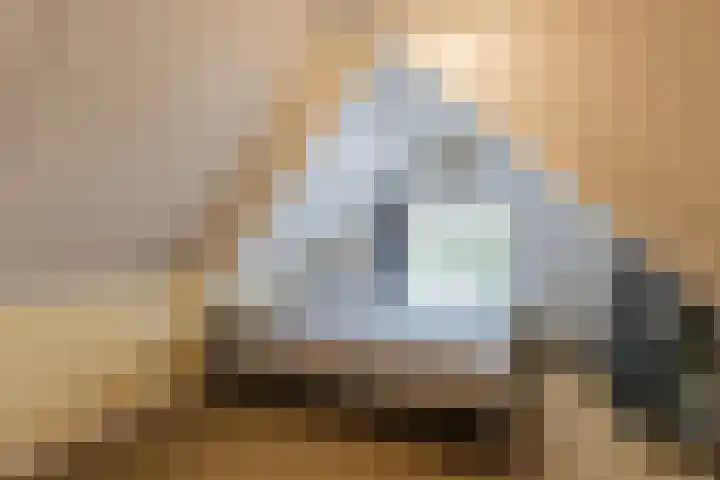 Wilhelminastraat 22 Meppel thumbnail 13