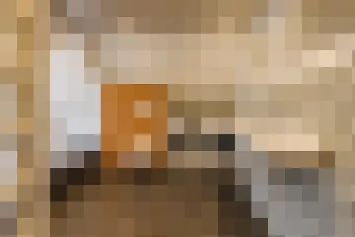 Wilhelminastraat 22 Meppel thumbnail 19