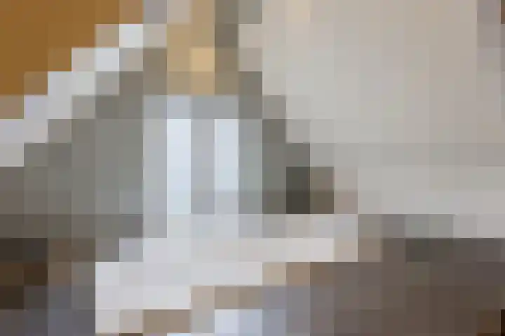 Wilhelminastraat 22 Meppel thumbnail 22