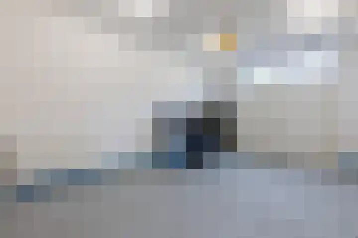 Wilhelminastraat 22 Meppel thumbnail 25