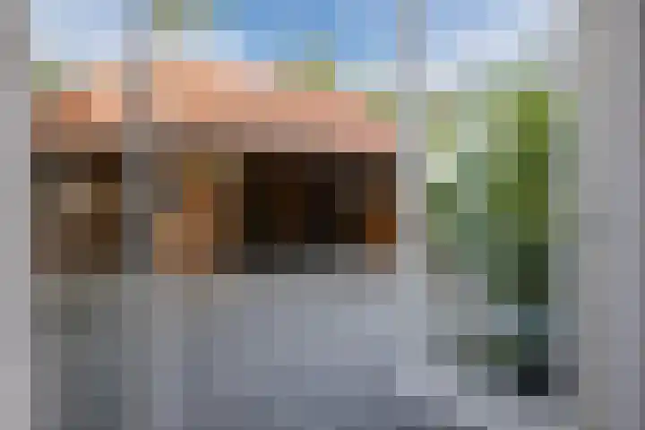 Wilhelminastraat 22 Meppel thumbnail 26