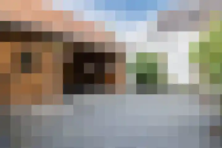Wilhelminastraat 22 Meppel thumbnail 27