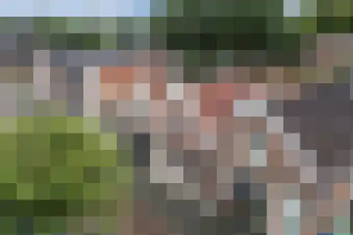 Wilhelminastraat 22 Meppel thumbnail 36