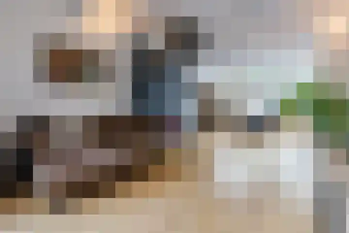 Wilhelminastraat 22 Meppel thumbnail 4
