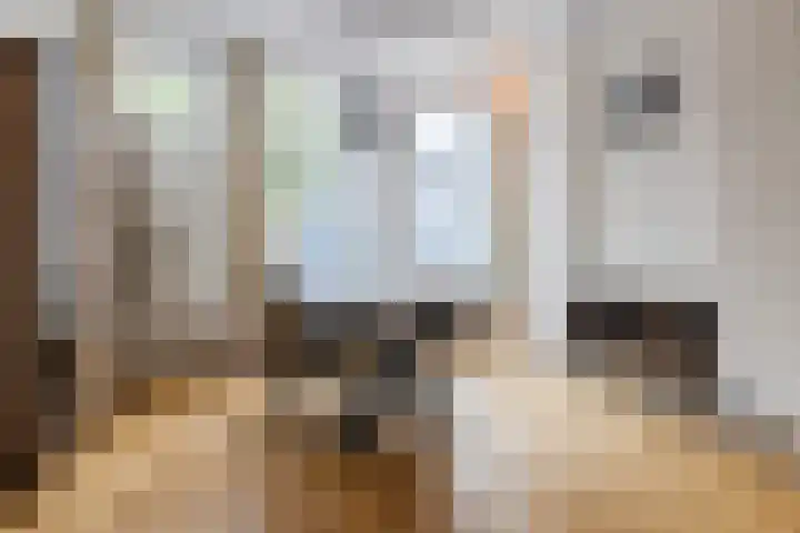 Wilhelminastraat 22 Meppel thumbnail 6