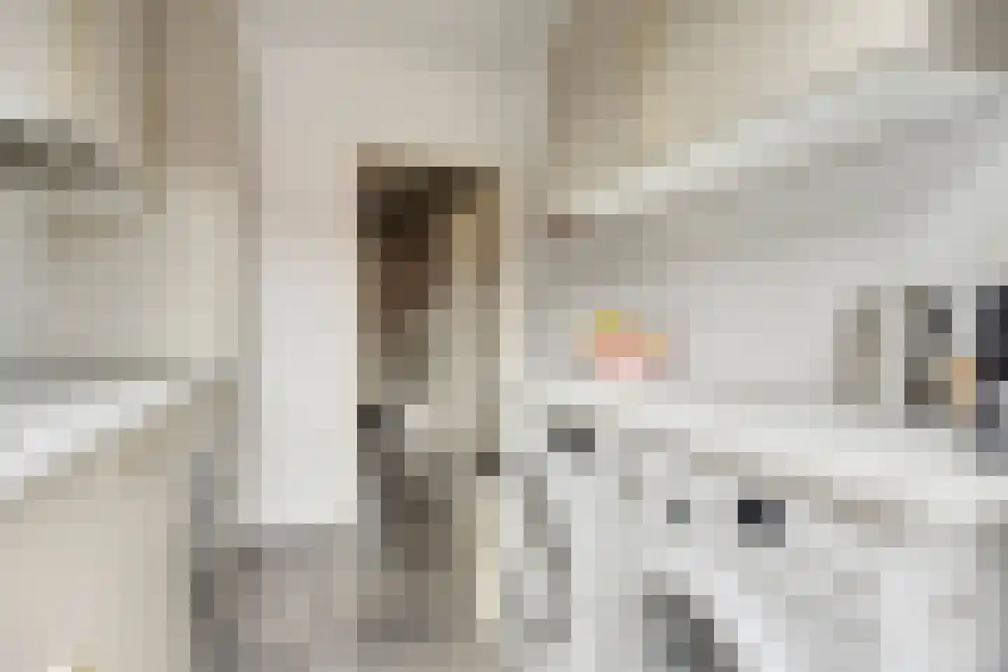 Wilhelminastraat 22 Ouderkerk aan den IJssel thumbnail 13