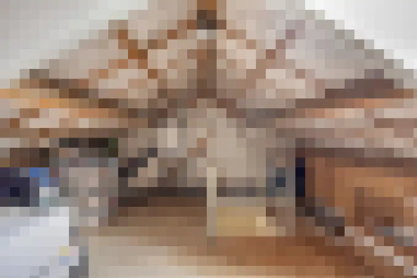 Wilhelminastraat 22 Ouderkerk aan den IJssel thumbnail 26
