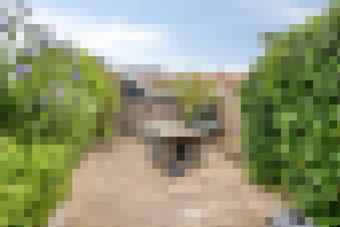 Wilhelminastraat 22 Ouderkerk aan den IJssel thumbnail 28