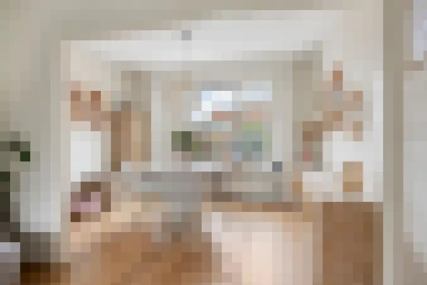 Wilhelminastraat 22 Ouderkerk aan den IJssel thumbnail 7