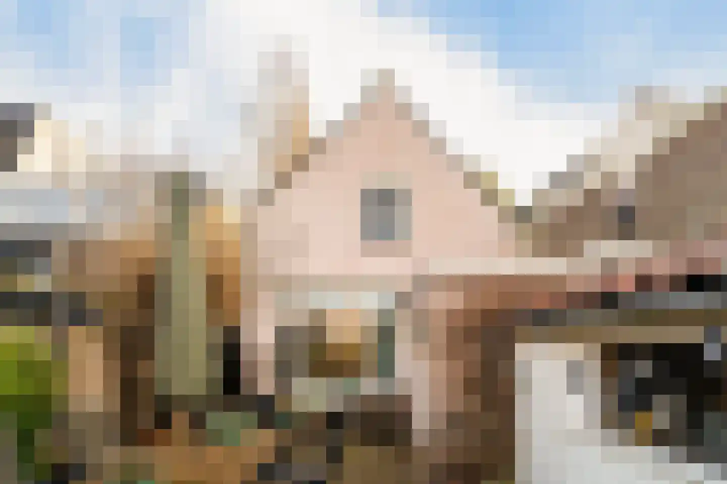 Wilhelminastraat 22 Vlaardingen thumbnail 23