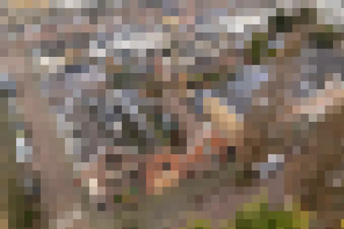 Wilhelminastraat 22 Vlaardingen thumbnail 6