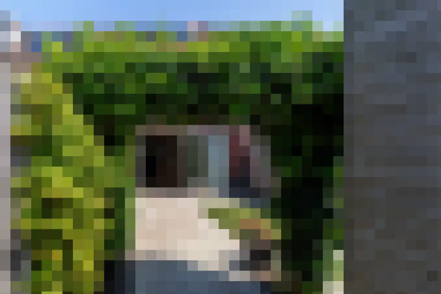 Wilhelminastraat 22 Wateringen thumbnail 22