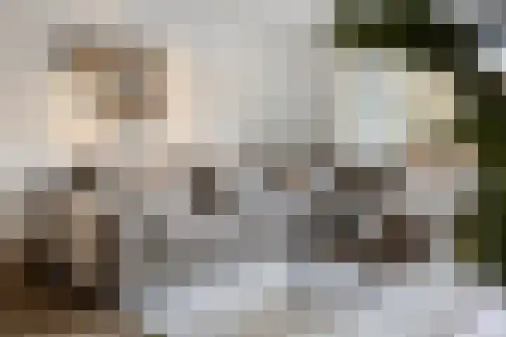 Wilhelminastraat 223 Uden thumbnail 14