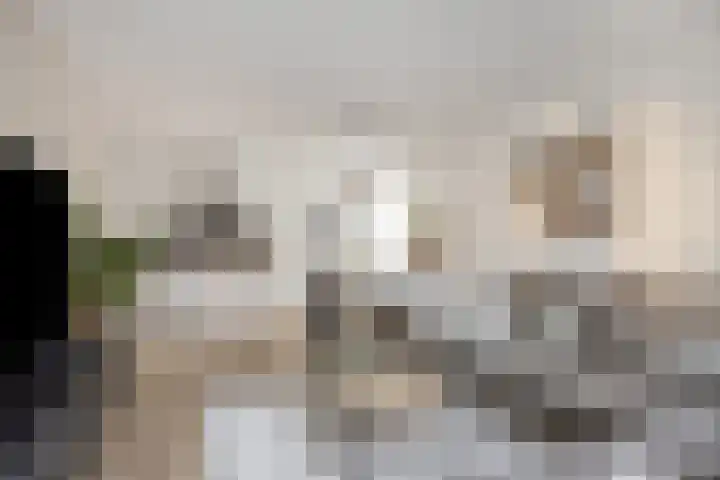 Wilhelminastraat 223 Uden thumbnail 18