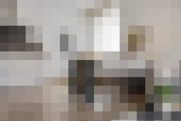Wilhelminastraat 223 Uden thumbnail 19