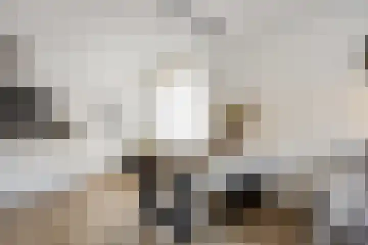 Wilhelminastraat 223 Uden thumbnail 21