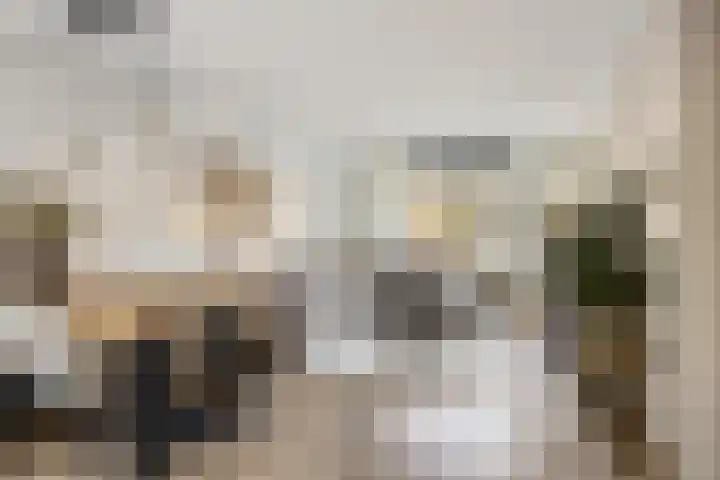 Wilhelminastraat 223 Uden thumbnail 23