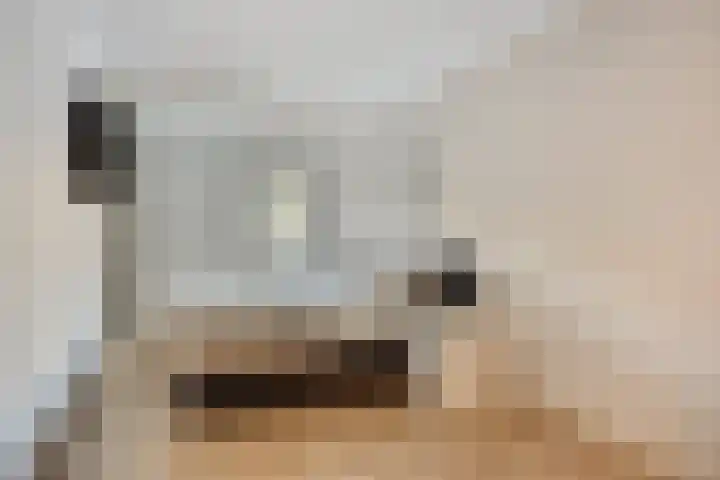 Wilhelminastraat 223 Uden thumbnail 26