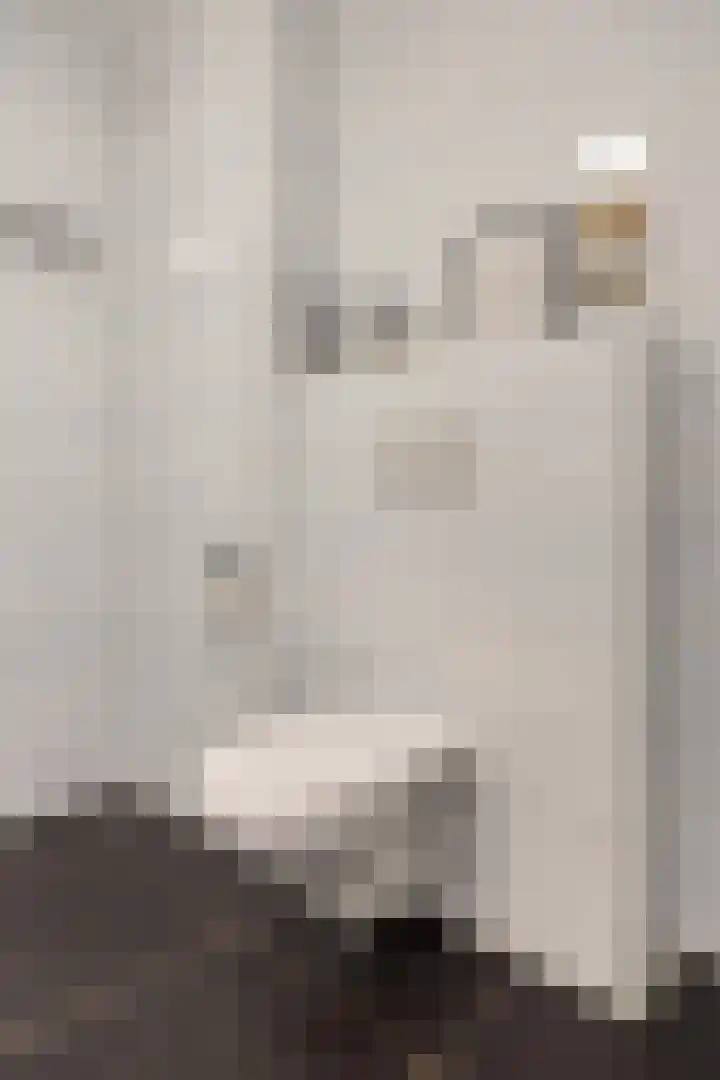 Wilhelminastraat 223 Uden thumbnail 31