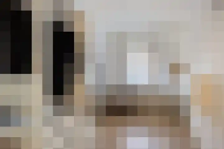 Wilhelminastraat 223 Uden thumbnail 33