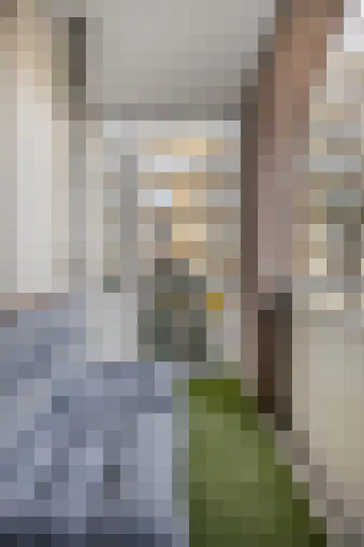 Wilhelminastraat 223 Uden thumbnail 37