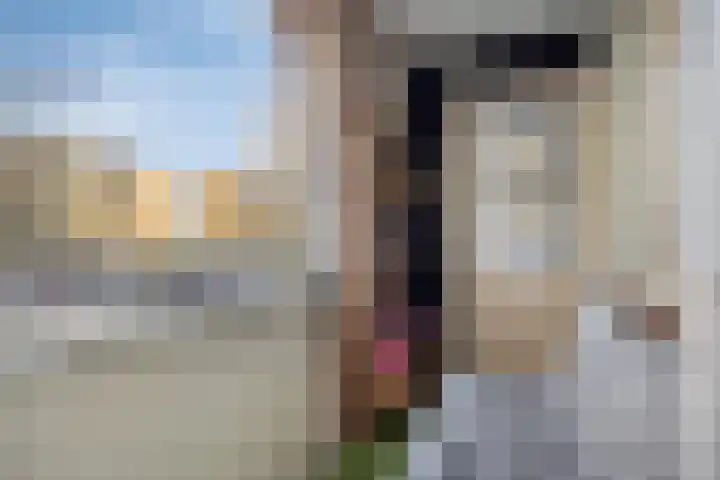Wilhelminastraat 223 Uden thumbnail 38
