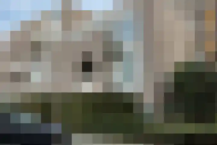 Wilhelminastraat 223 Uden thumbnail 40