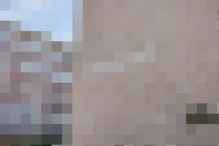 Wilhelminastraat 223 Uden thumbnail 6