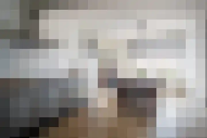 Wilhelminastraat 23 Belfeld thumbnail 10