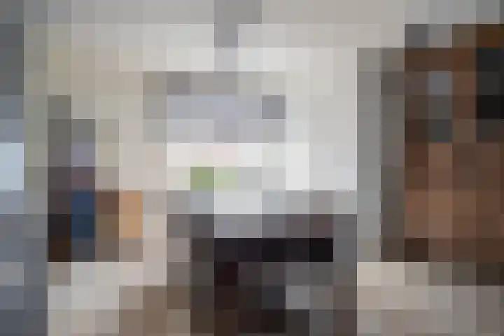 Wilhelminastraat 23 Belfeld thumbnail 16