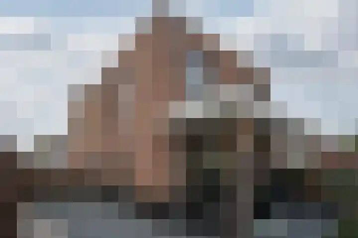 Wilhelminastraat 23 Belfeld thumbnail 38