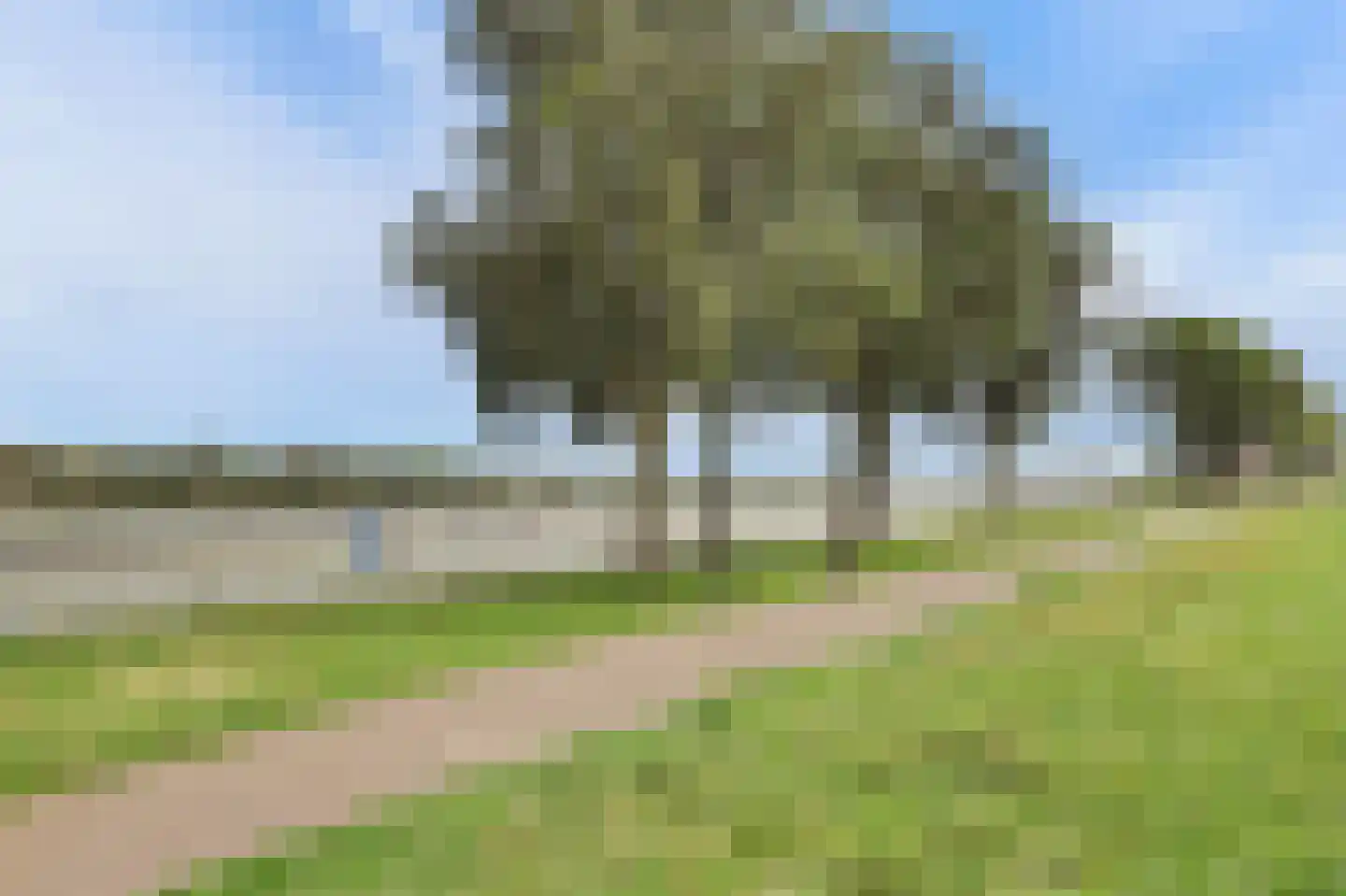 Wilhelminastraat 23 Puttershoek thumbnail 46