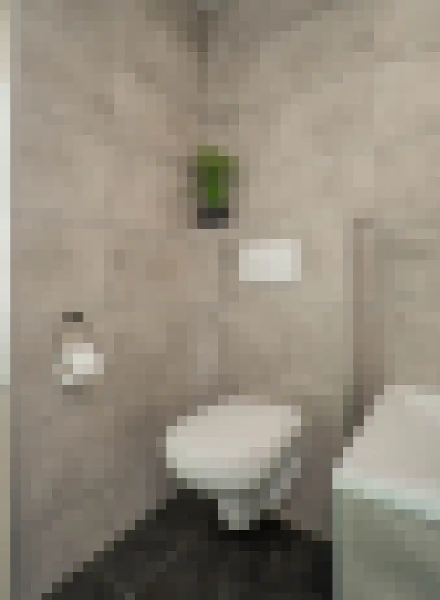 Wilhelminastraat 24 Bakel thumbnail 31