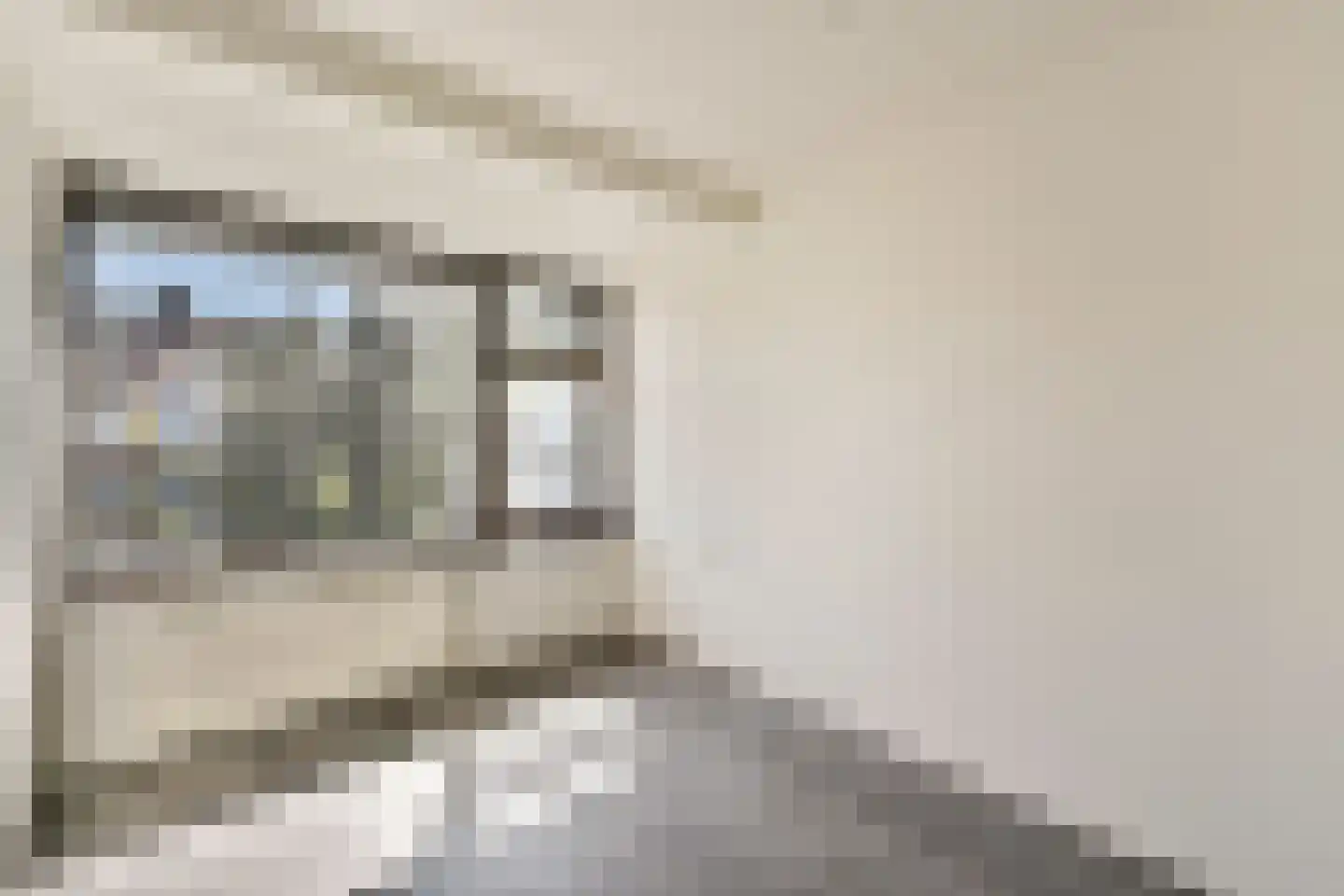 Wilhelminastraat 24 Capelle aan den IJssel thumbnail 11