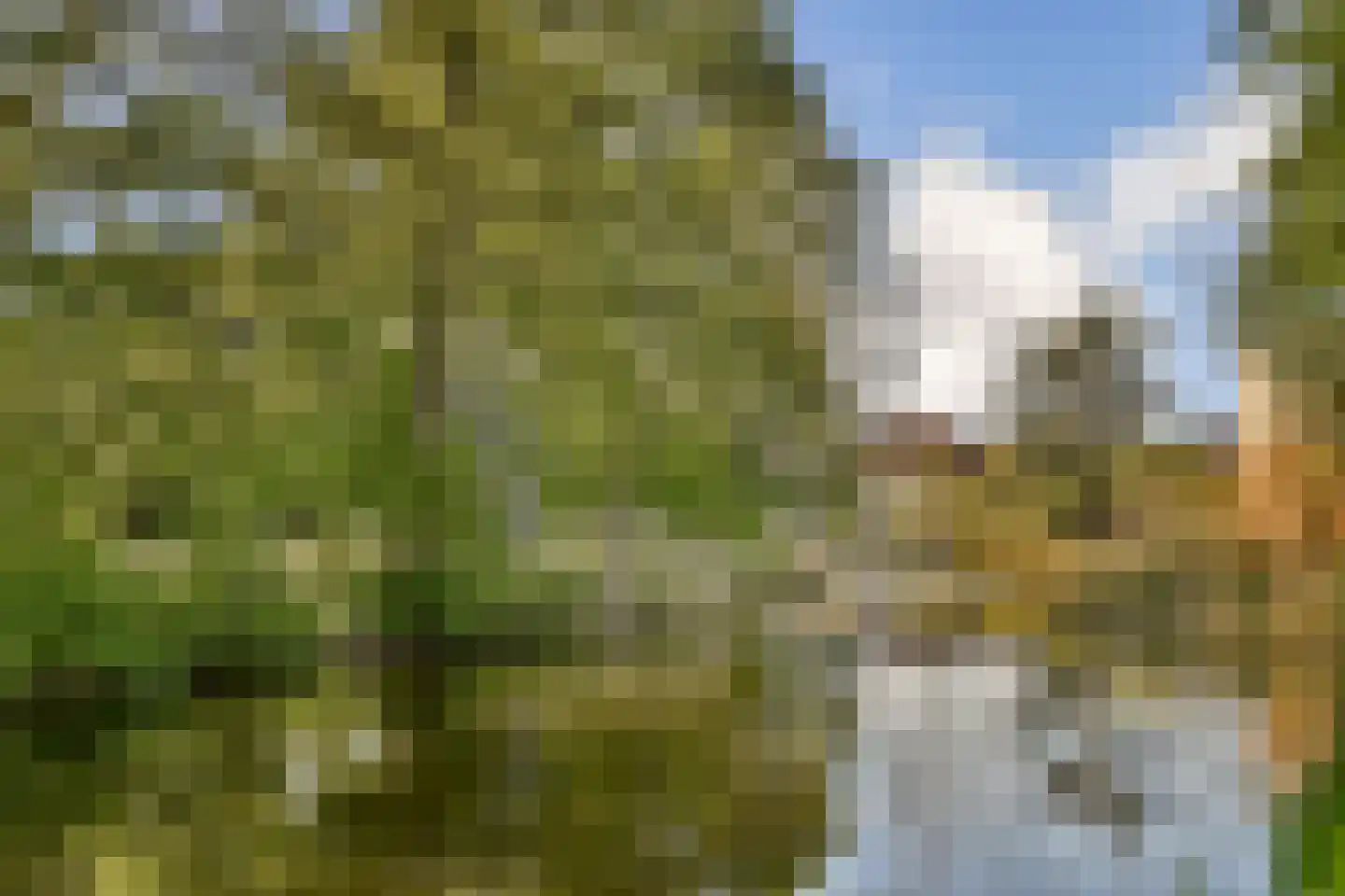 Wilhelminastraat 24 Capelle aan den IJssel thumbnail 20