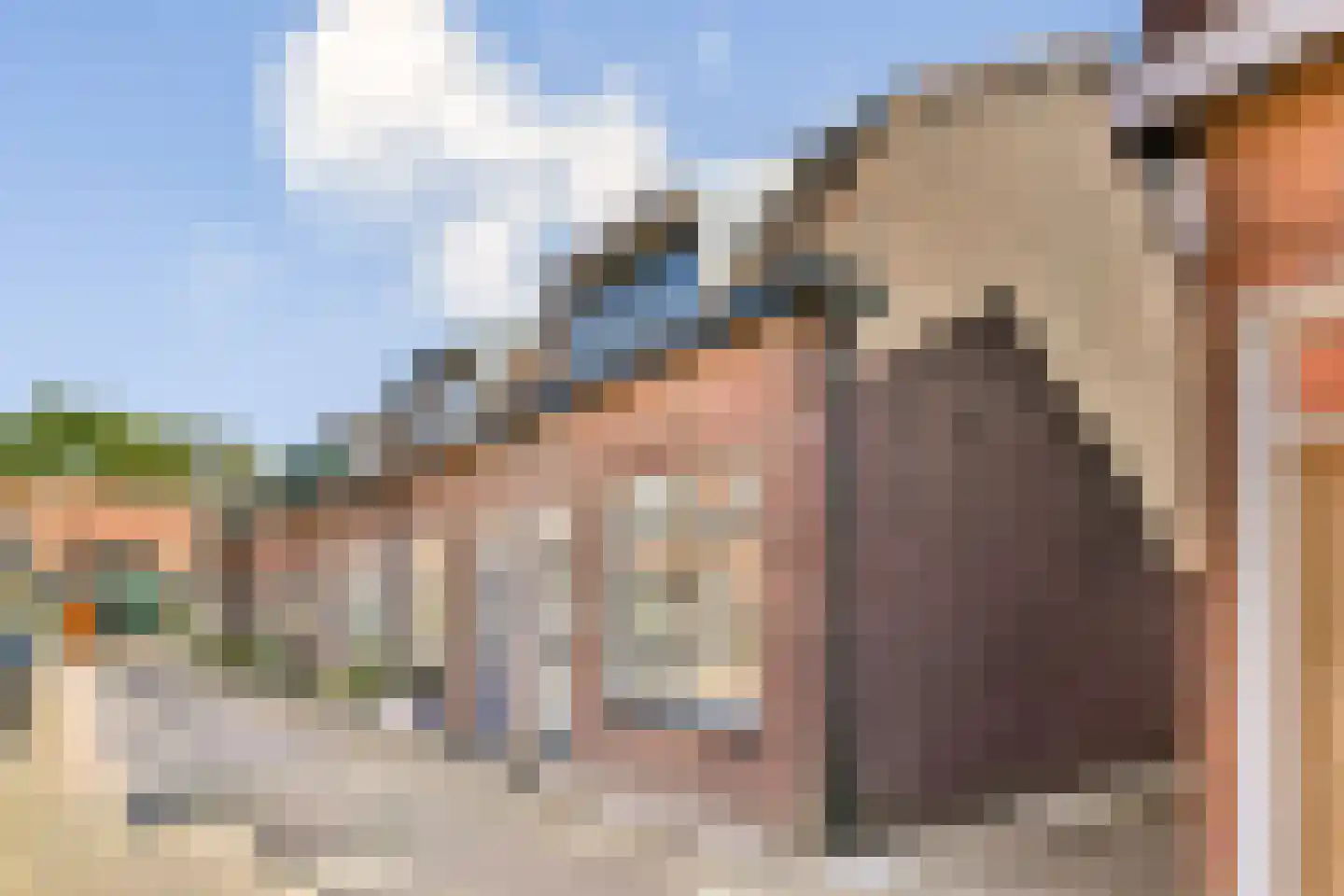 Wilhelminastraat 24 Capelle aan den IJssel thumbnail 5