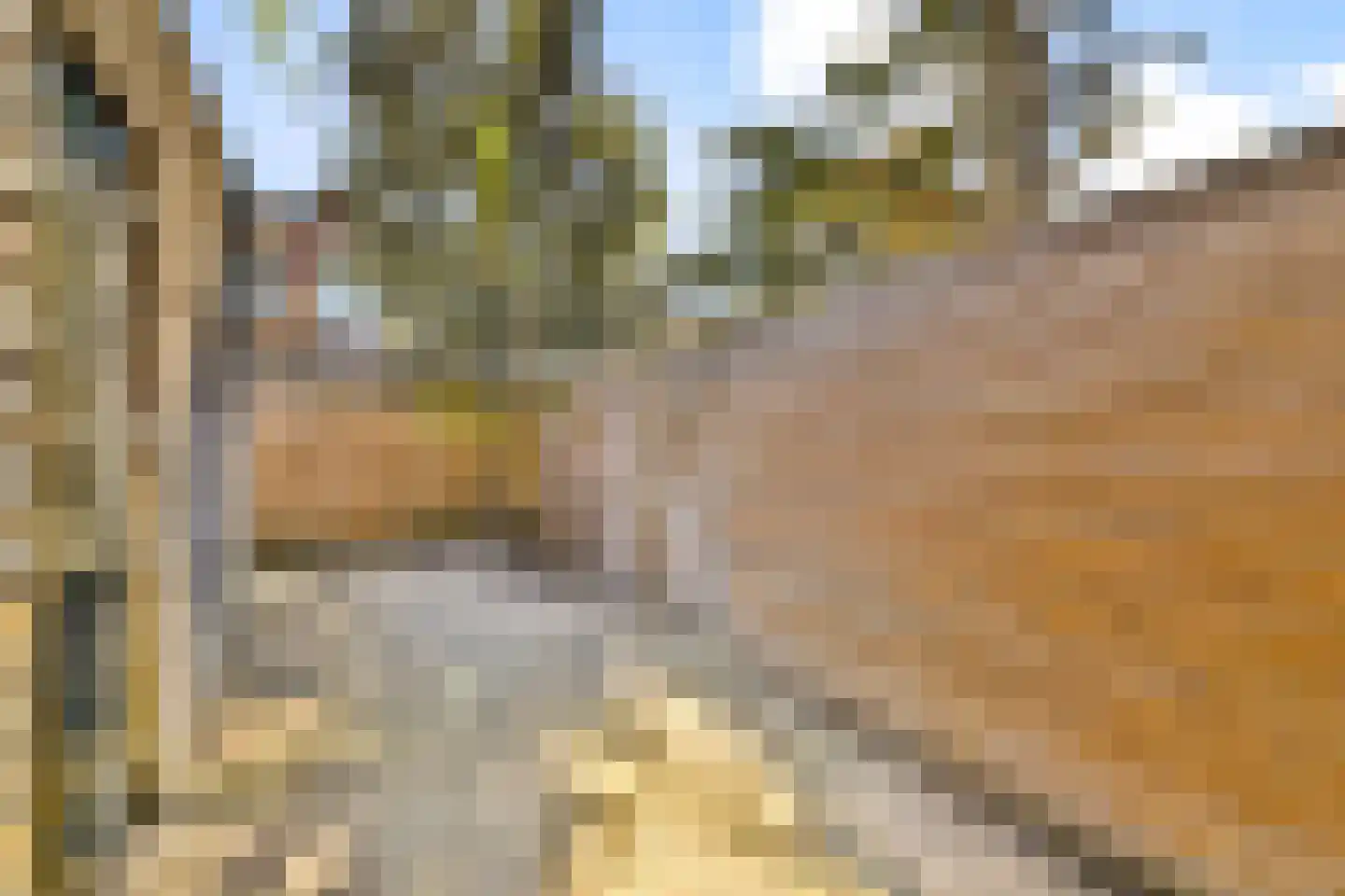 Wilhelminastraat 24 Capelle aan den IJssel thumbnail 8
