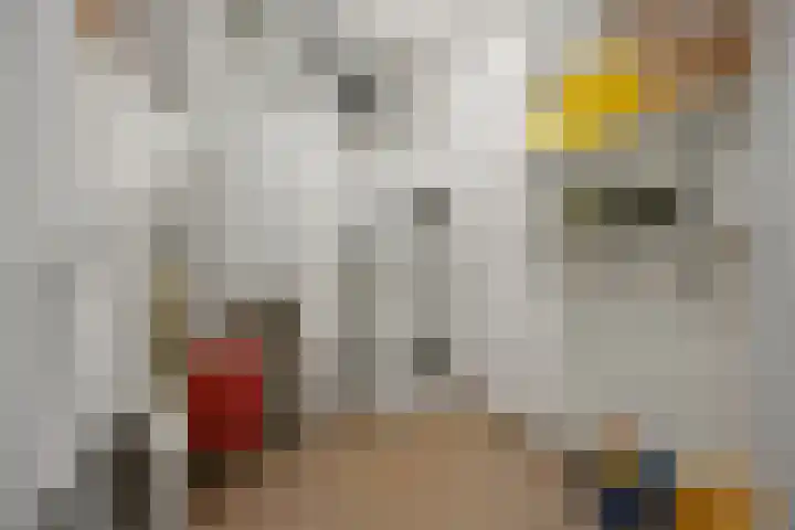 Wilhelminastraat 24 g Waalwijk thumbnail 25