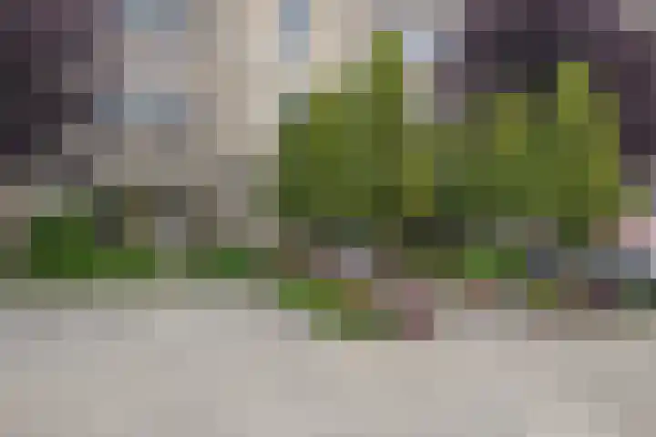 Wilhelminastraat 24 g Waalwijk thumbnail 29