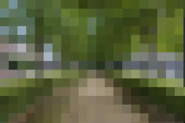 Wilhelminastraat 24 g Waalwijk thumbnail 34