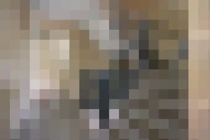 Wilhelminastraat 24 g Waalwijk thumbnail 8