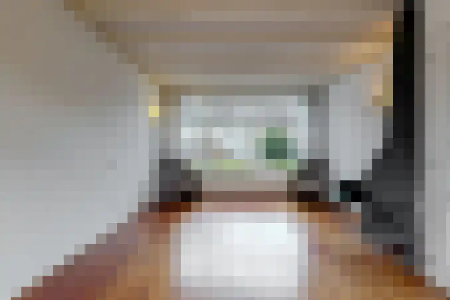 Wilhelminastraat 24 Leiderdorp thumbnail 7