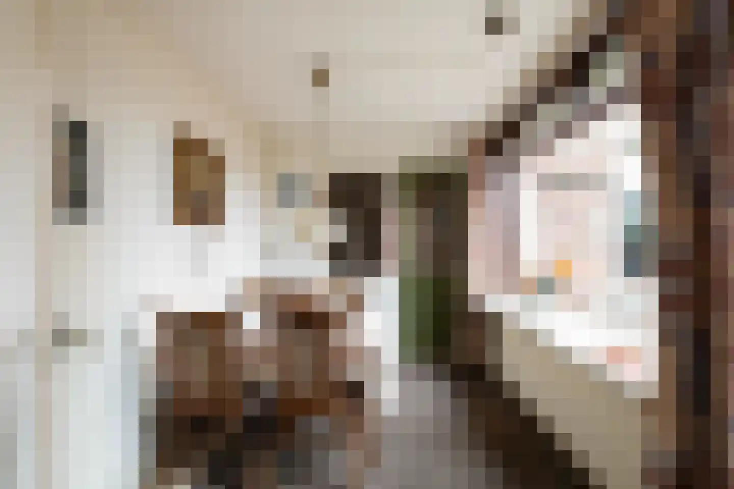 Wilhelminastraat 24 Overdinkel thumbnail 18